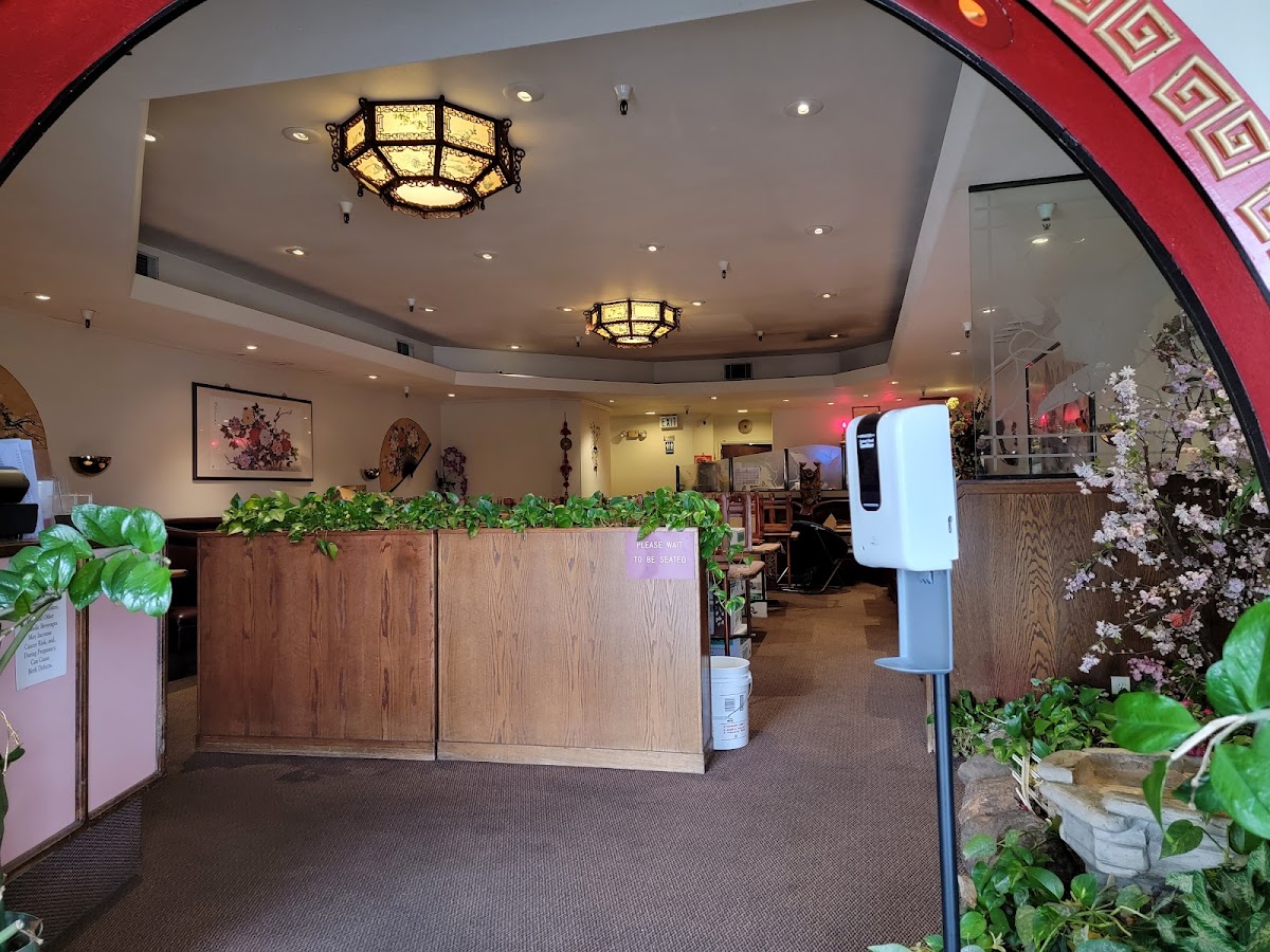 Golden Phoenix Photos 2